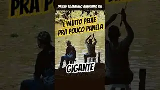 Pescaria Simples No Mogi. #pescaria #pesca