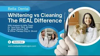 Teeth Cleaning vs. Whitening: Dr. Soto & Her Adorable Therapy Dog Dr. Bruce Spill the Secrets! 🐶😁