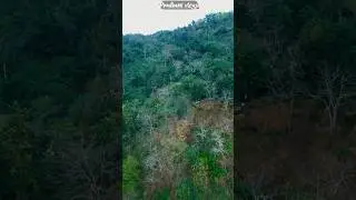 BAOKHUNGRI TREEKING SPOT😍|| #view #trendingvideo
