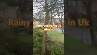 Rainy weather #snow  in Uk #viral #uk #dailyvlog #ytshort #travel #trending
