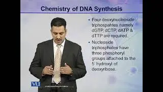 Mechanism of DNA Replication: Chemistry of DNA Synthesis | Cell Biology | BIO5105_Topic080