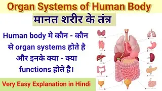 Organ Systems of the Human Body #functions # मानव शरीर के तंत्र # In हिंदी # By BL kumawat