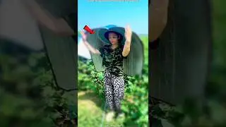 These Farmers Do Farming Wearing Big Hats