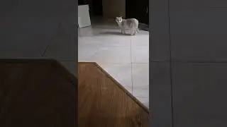 🤔🤫🔥ОБИДЕЛАСЬ ‼️