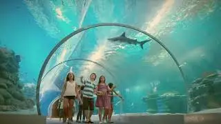 British English voice over for Eilat - vacation ad