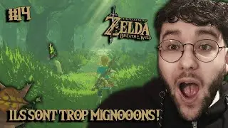 ON RETROUVE NOS MEILLEURS AMIS LE JOUR DU RÉVEILLON !! (Zelda BOTW)