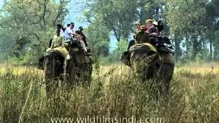 Elephant safari in Jim Corbett National Park, India