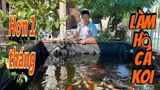 Hơn 1 tháng làm nhà mới cho mấy em koi .. Kết quả như mong đợi !!!