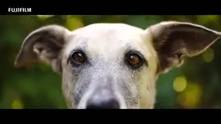 Xtra Turbo X-T3 with Elke Vogelsang | FUJIFILM