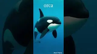 🐋 English Vocabulary | 8 Amazing Sea Creatures to Learn Fast | #Shorts