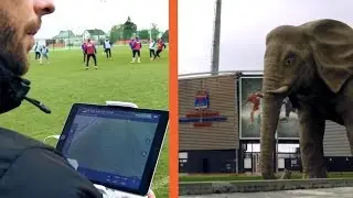 Ze wsi do ekstraklasy - Nieciecza na piłkarskich salonach [REPORTAŻ]