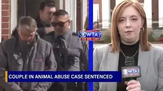 Couple in Bedford County animal abuse case sentenced to up to 40 years | WTAJ