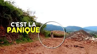 ON PERD LES ÂNES DANS UNE FORÊT DE 100 HECTARES !! 😮‍💨
