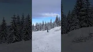 Partia de saniute de la Marisel Crucea Iancului langa Patinoar
