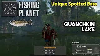 Unique Spotted Bass Quanchkin Lake - Fishing Planet