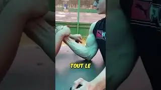 La M&eacute;thode Pour Gagner Tous les Bras de Fer