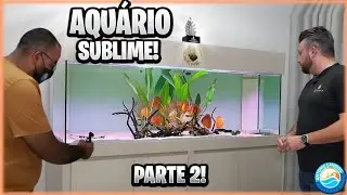 AQUARIO SUBLIME DE ACARA DISCO - visita ao aquarista do Marcony em Ipatinga MG PARTE 2