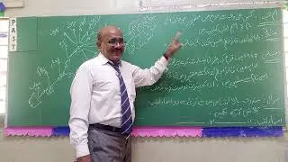 اسم لقب