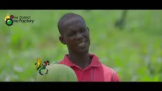1D1F  DOCUMENTARY