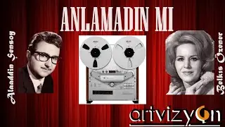 Belkıs Özener (Alaaddin Şensoy düet) - Anlamadın mı (Official Audio)