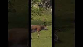 Hunting Sniper #games #ios #eandroid #gundam #iosmobilegame #gaming #androigames