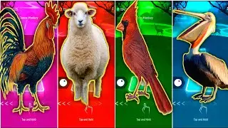 🐓 The Rooster vs 🐑 The Sheep vs 🦅 The Red Bird vs The Pelican | Coffin Dance