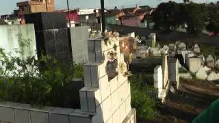 Veja a Situação do Cemitério em Carpina