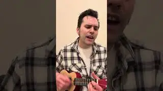 [Ukulele Cover] Baby on Board by The Be Sharps