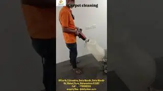 Transform your space with our professional carpet cleaning service&mdash;fresh, clean, and revitalized!✨🧼