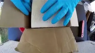 Eco Styrofoam Replacement - from Mushrooms! New Miracle Material!