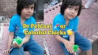 Dr Pehlaaj Colourful Chicks ka ilaj kr rhy hen | We buy new chicks