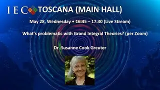 What&rsquo;s problematic with Grand Integral Theories? | Integral European Conference 2025