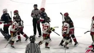 Under 18 Hockey - Woolwich Wild vs Guelph Jr. Gryphons