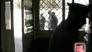 Nola (NA) - Clan Russo, sequestro beni per 30mln di euro (09.08.12)