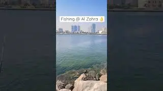 Al Zohra Ajman Fishing Time We caught🦑👌 #shorts #ajman #fishing