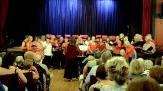 East Devon Folk Choir: Grey Funnel Line