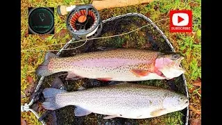 WIND, RAIN & RAINBOWS  #guidelineflyfish #simmsflyfishing #patagonia_flyfish