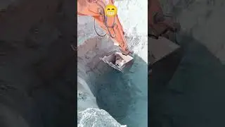 Funny moments of heavy excavators evacuating dogs trapped in dug holes