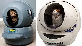 Top 10 INSANE Pet Toys & Gadgets You Must See !  THEY DESERVE TO BE HAPPY