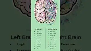 function of your right and left brain #viral #generalknowledge