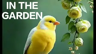 IN THE GARDEN-By Luzii Luiz th & Patrick R White
