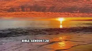 How does the Bible and Book of Mormon highlight the creation of families?