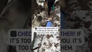 ❄️ Winter Hiking Tips For You And Your Pet ❄️