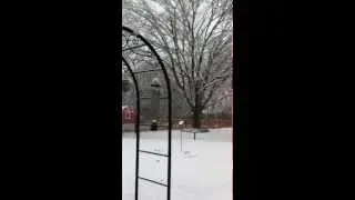 The Sound of Snow