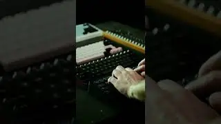 RAMA WORKS&reg; FROG SWITCH TYPING 01