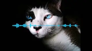 Real Good At Doin' Stuff!!! - They Are Eating The Cats (20-40Hz) Rebassed Revo