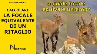 A che focale equivale un ritaglio di una foto? Scopri come calcolarlo in un secondo