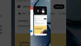 Cats video code today | Productivity Tips! | Cat video code today 7 October