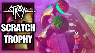 Stray  – Scratch Trophy - Scratch the vinyl in the club