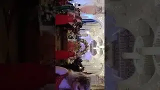 Bridal Entry Theme \ Wedding Entry \ Russian Violin Girls Theme for Bridal Entry | VStar Events